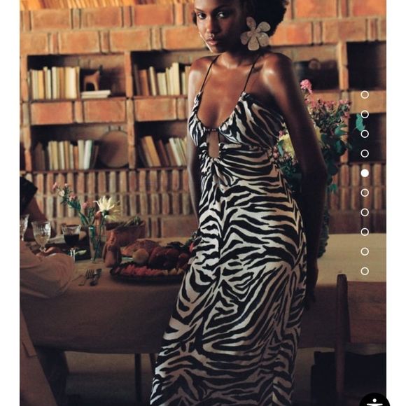 Zara Dresses & Skirts - NWT ZARA SATIN EFFECT ZEBRA / ANIMAL PRINT CUT OUT DRESS